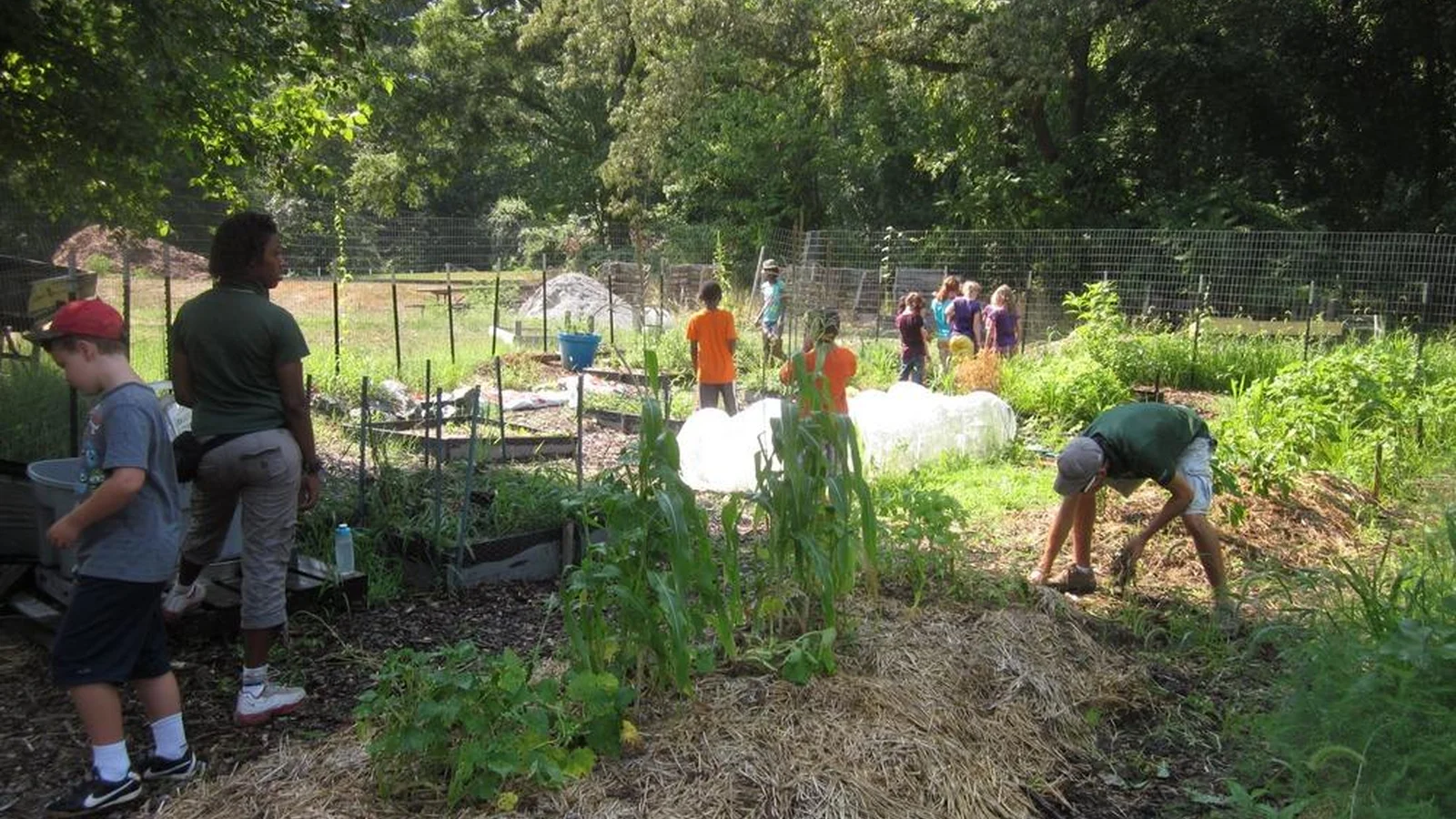 Fort Dupont Community Gardens