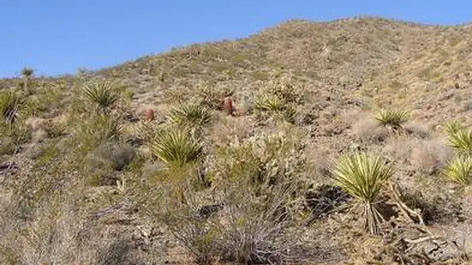 Piute Mountains Wilderness