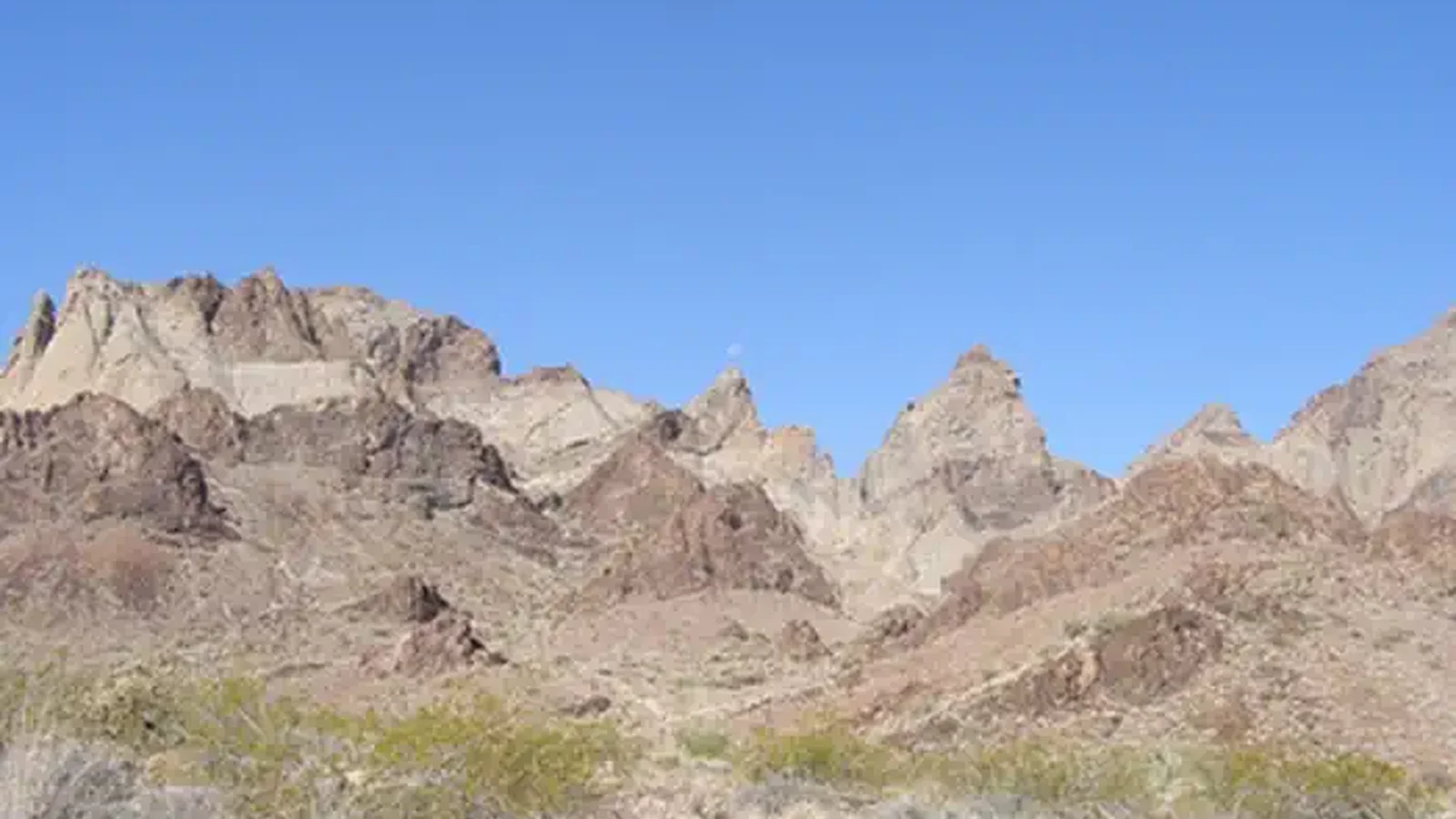 Trilobite Wilderness