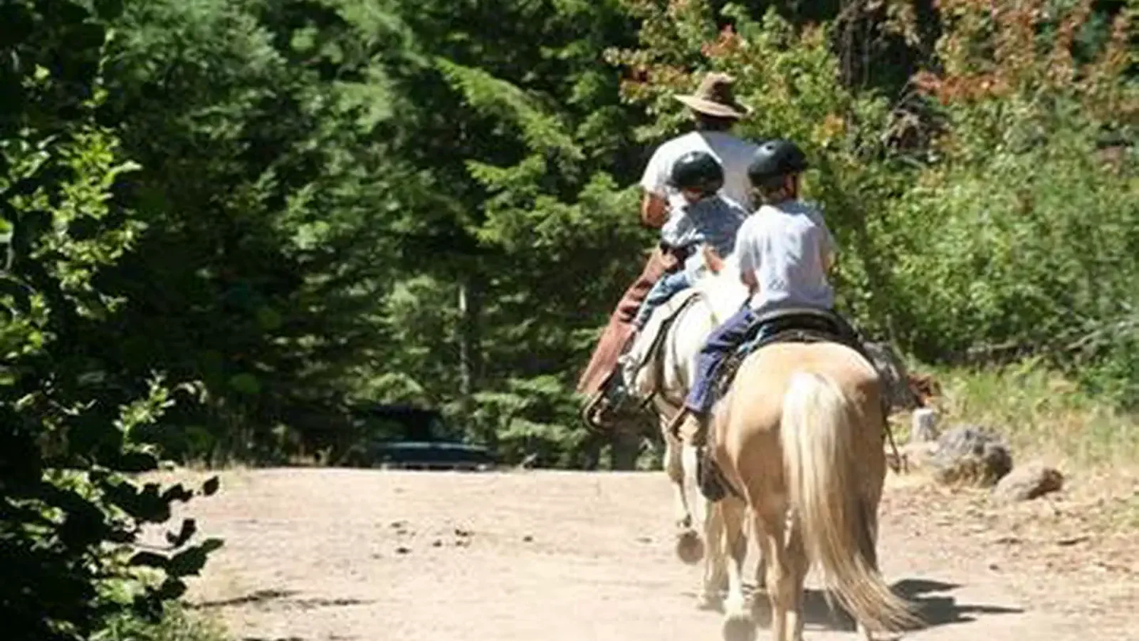 WILLOW PRAIRIE HORSECAMP