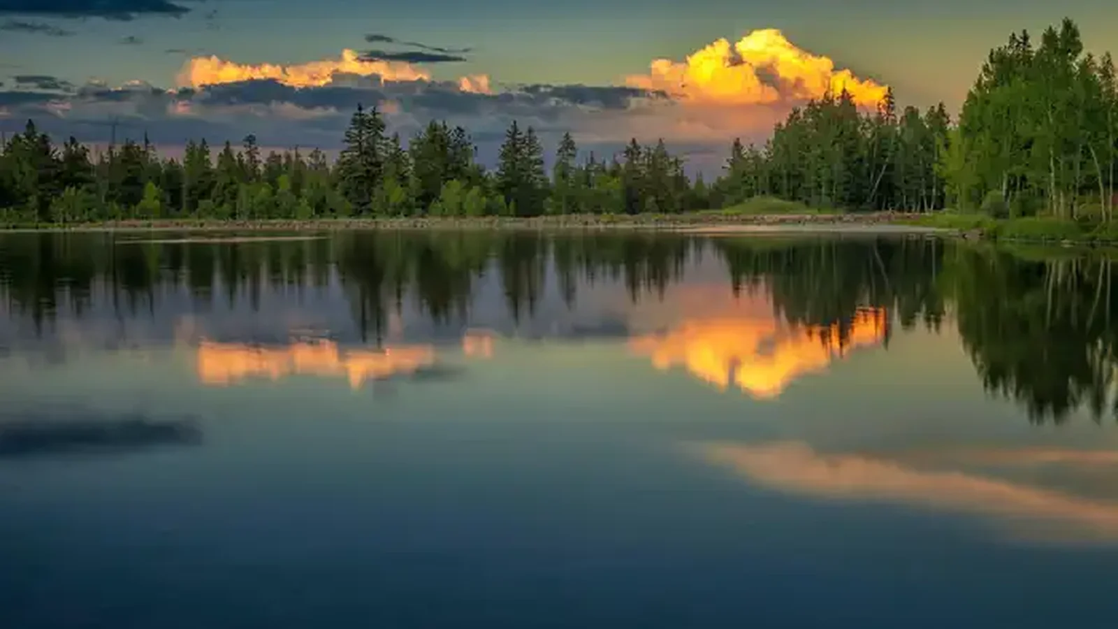 Dixie National Forest