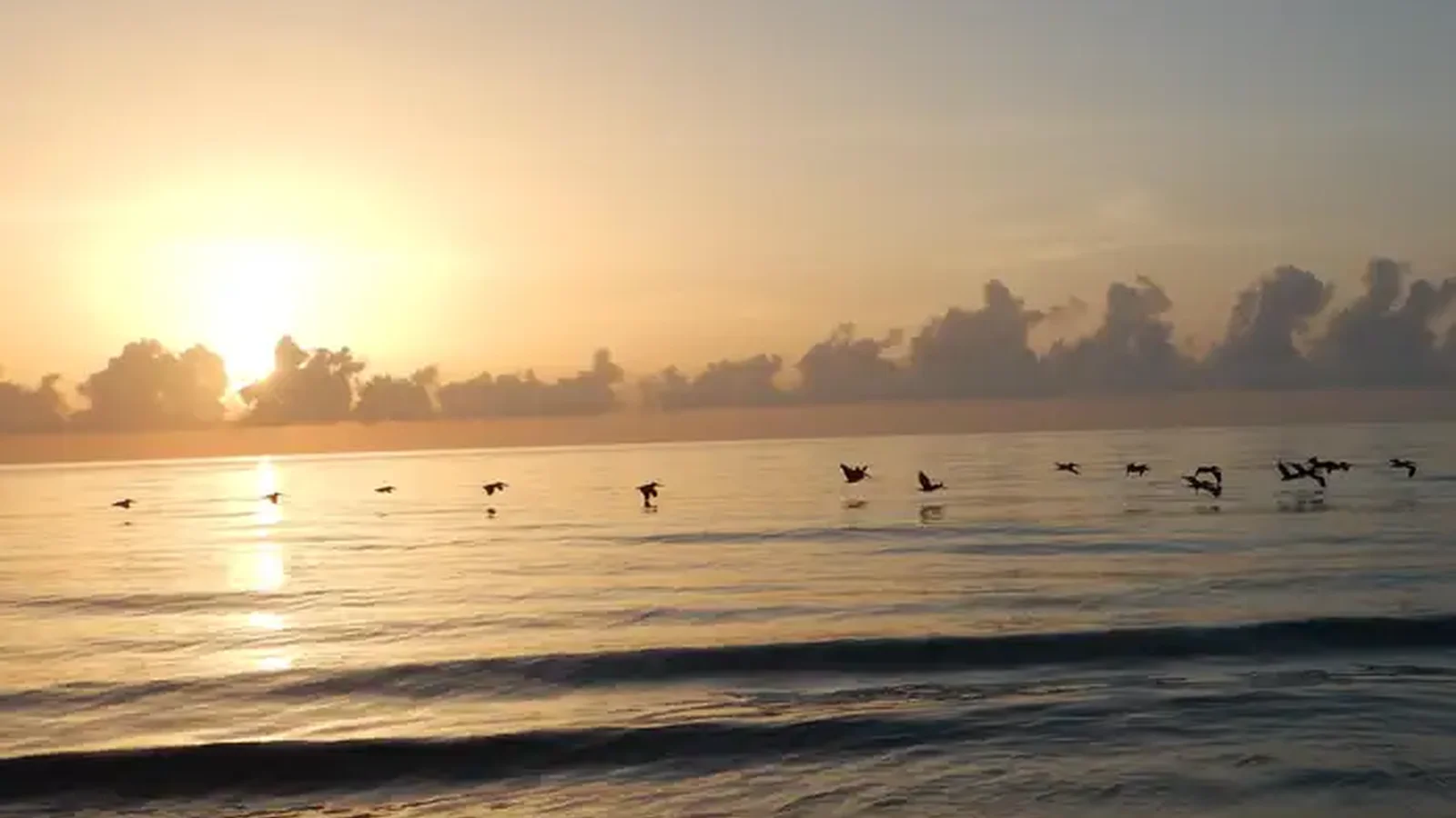 Silhouette of birds flying over the Atlantic Ocean as the sun rises above the cloudy horizon.