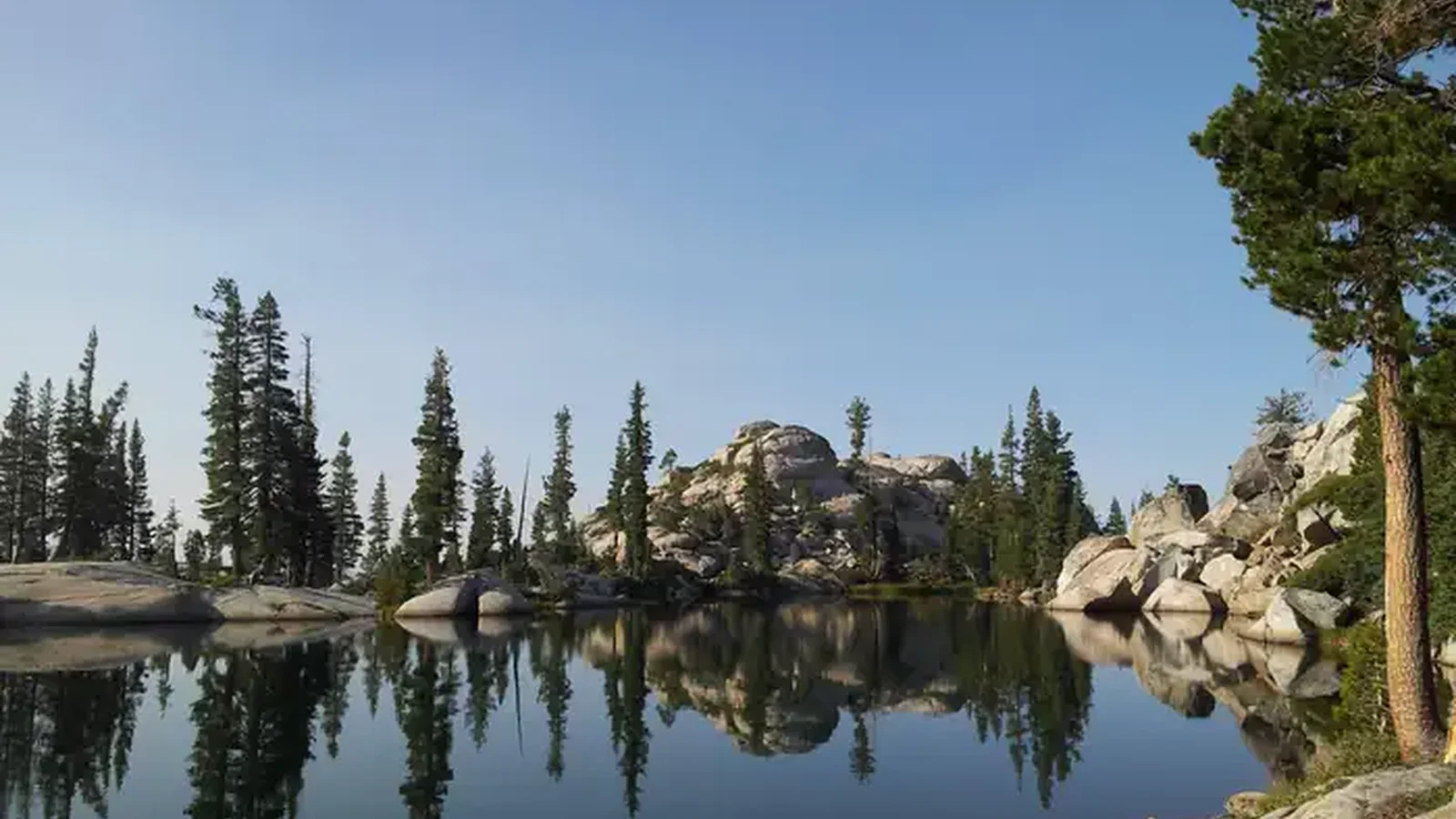 Stanislaus National Forest