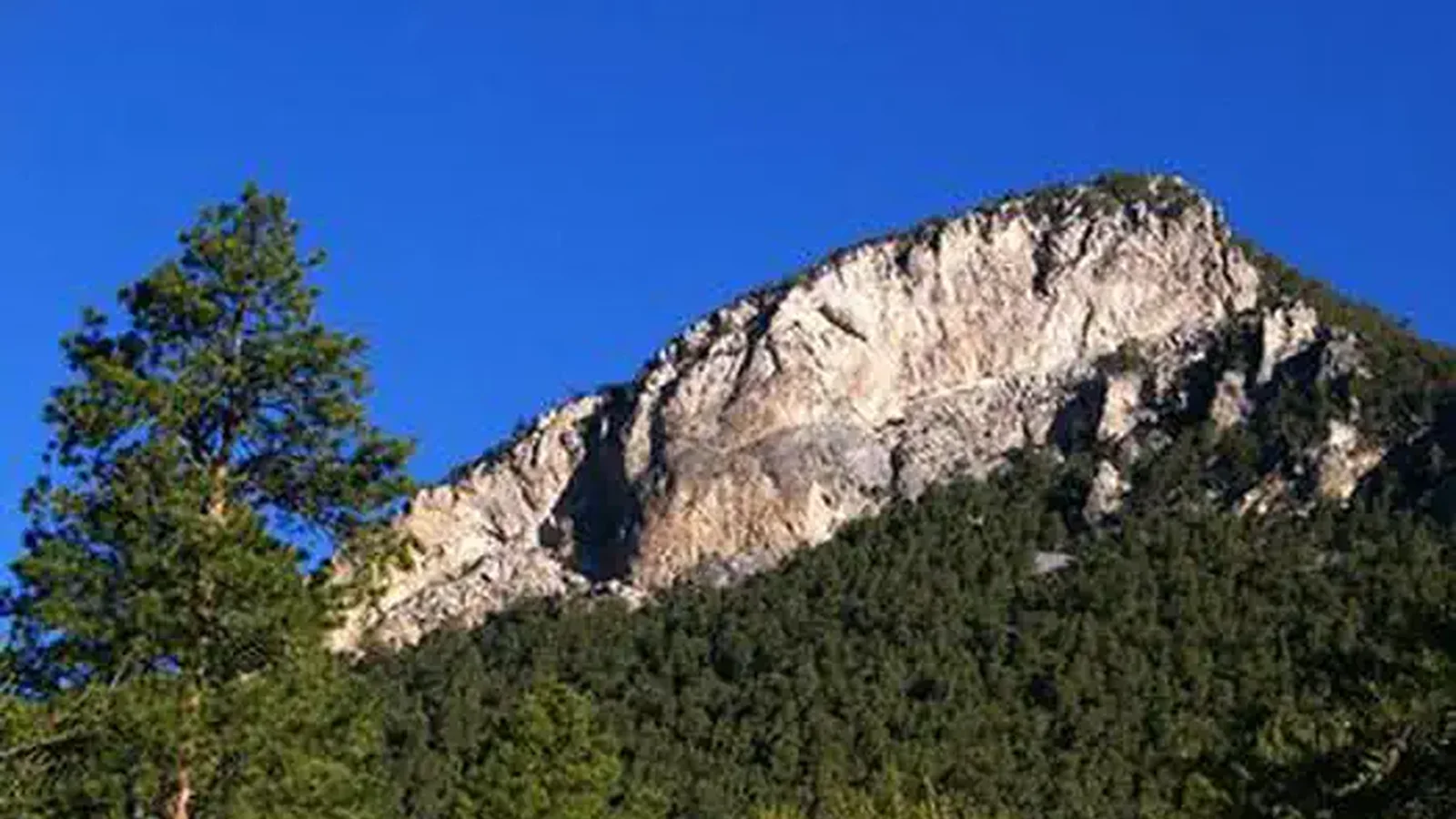 FLETCHER VIEW
