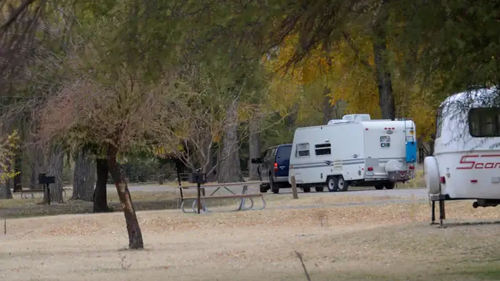 Two travel trailers in campsite with trees lining the sites and roadway