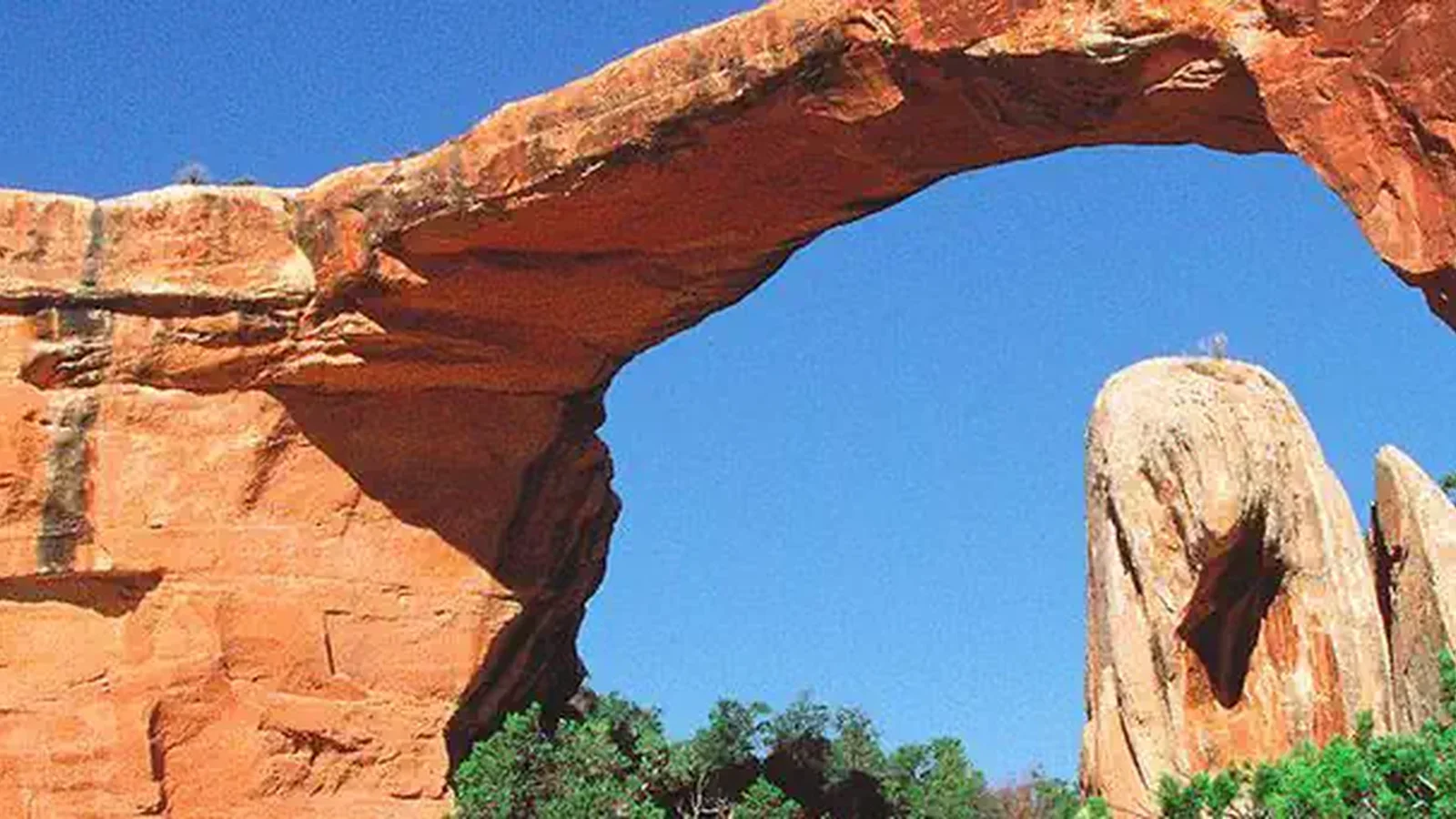Natural Bridges National Monument