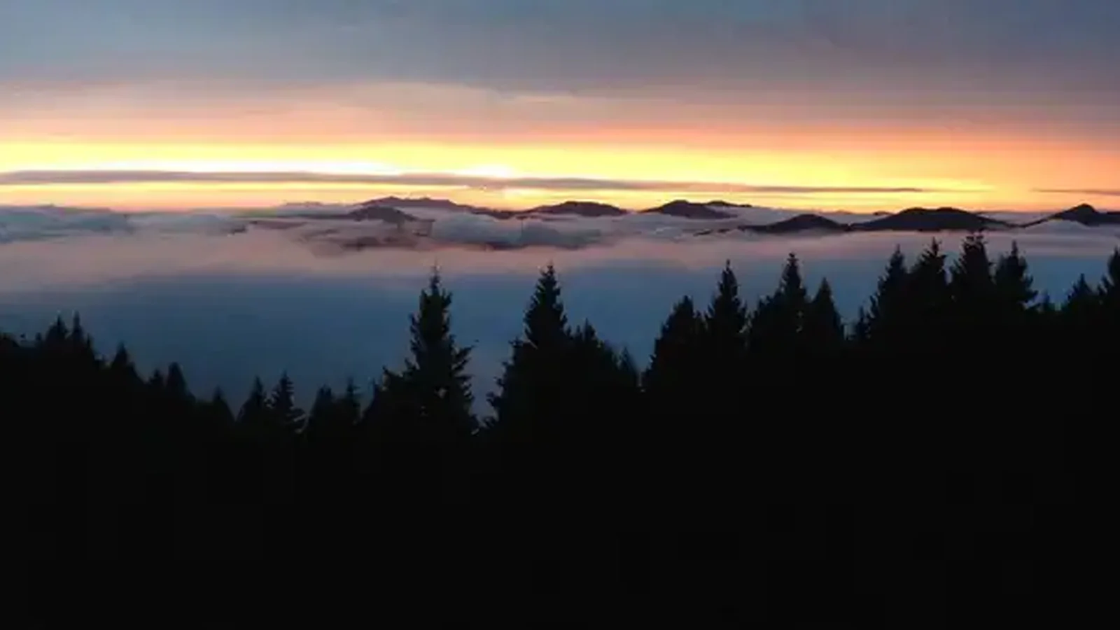 Rogue River - Siskiyou National Forests
