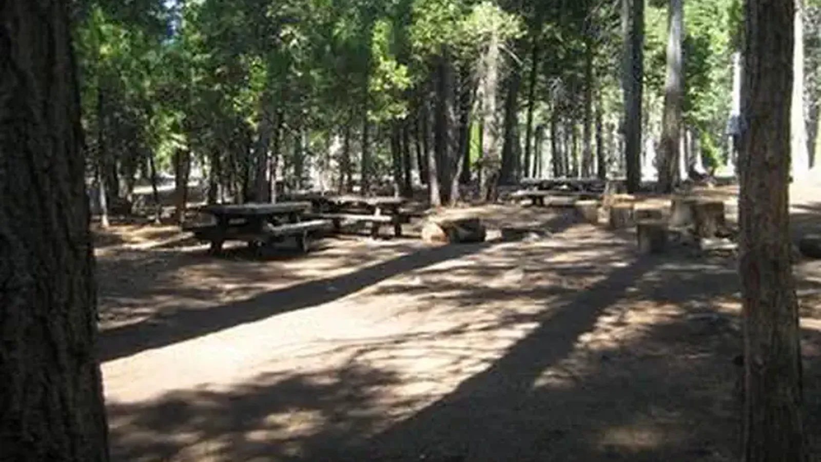 SOUTH FORK GROUP (CA)