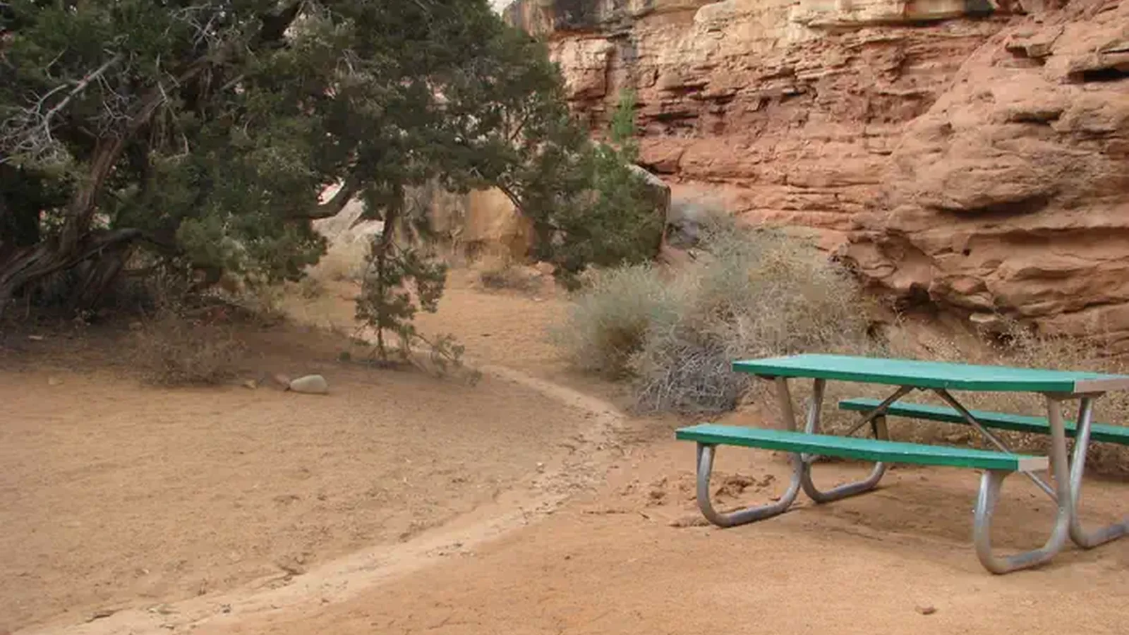 Picnic table next to slickrock and a tree.