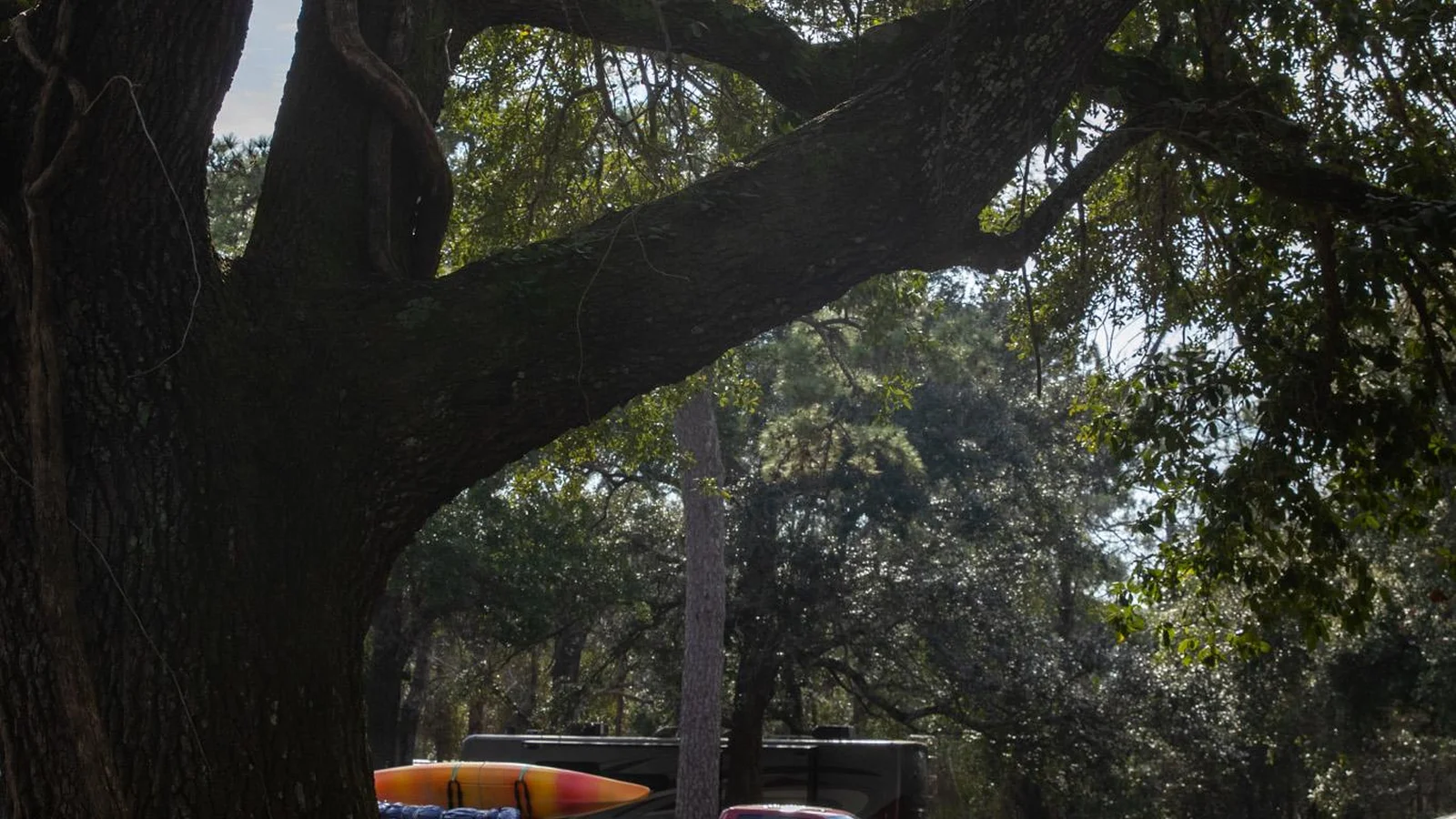 Davis Bayou Campground