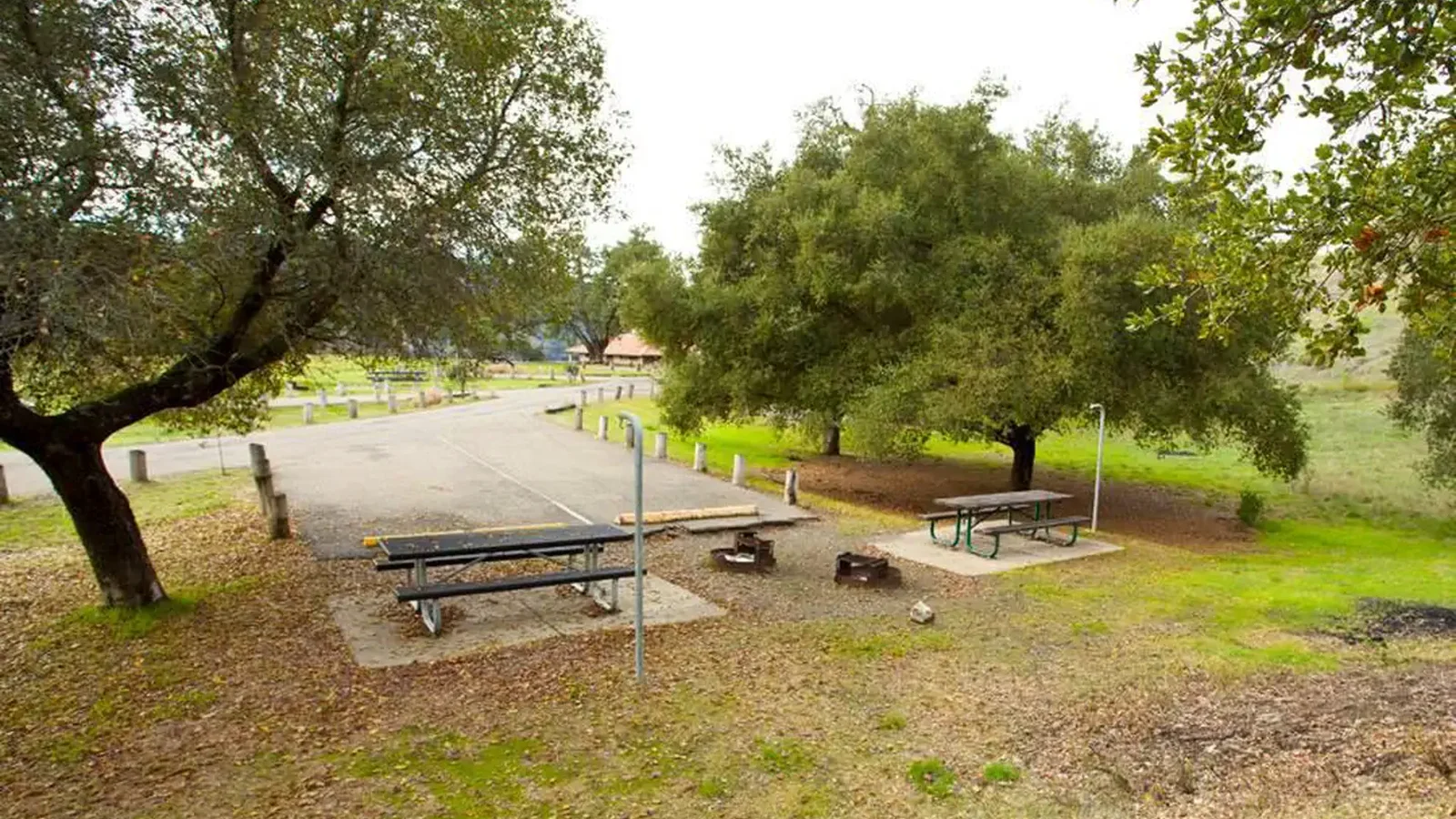 B loop site #63 (double site)