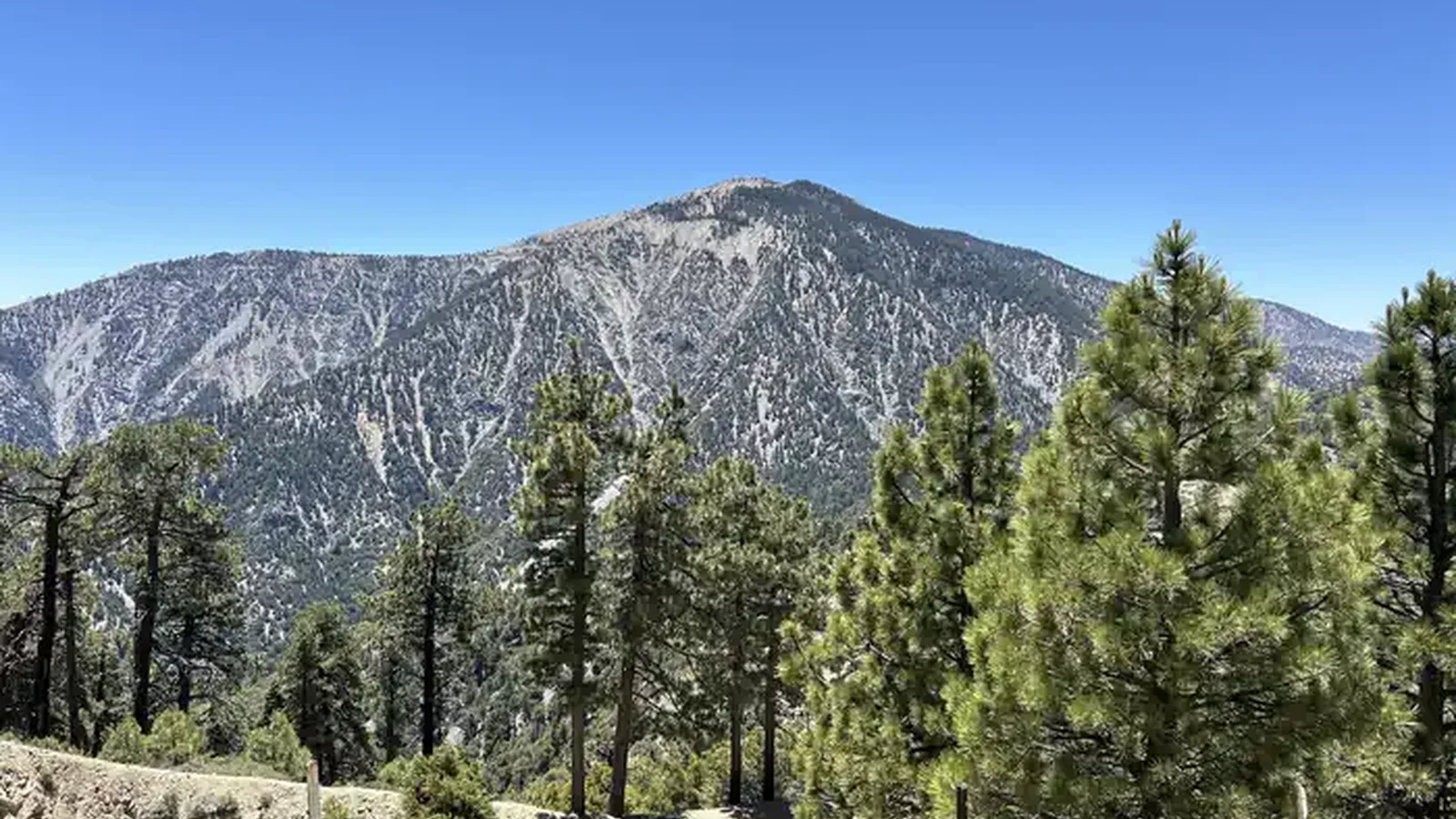 Mount Baden-Powell from Grassy Hollow