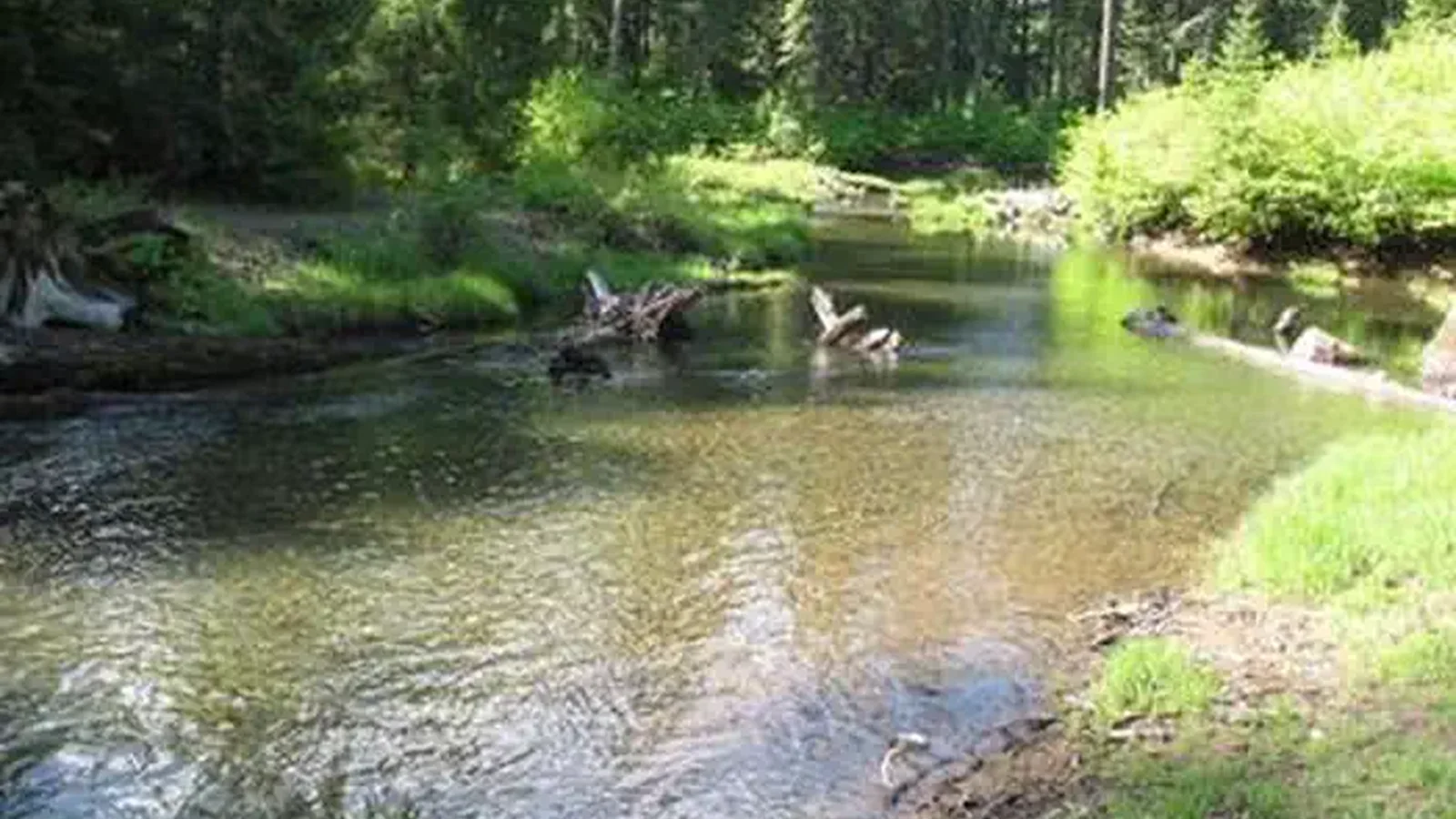 JIM CREEK GROUP CAMPGROUND