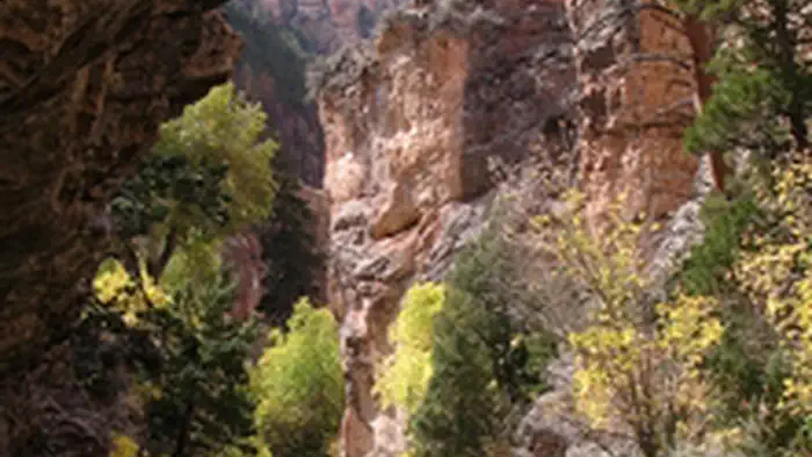 Middle Fork Powder River