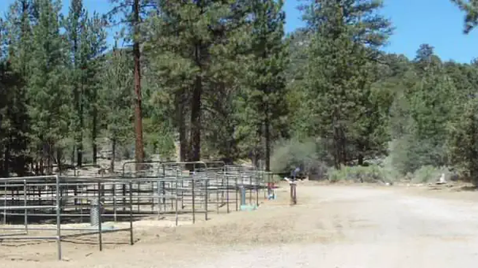 Wild Horse Equestrian Family