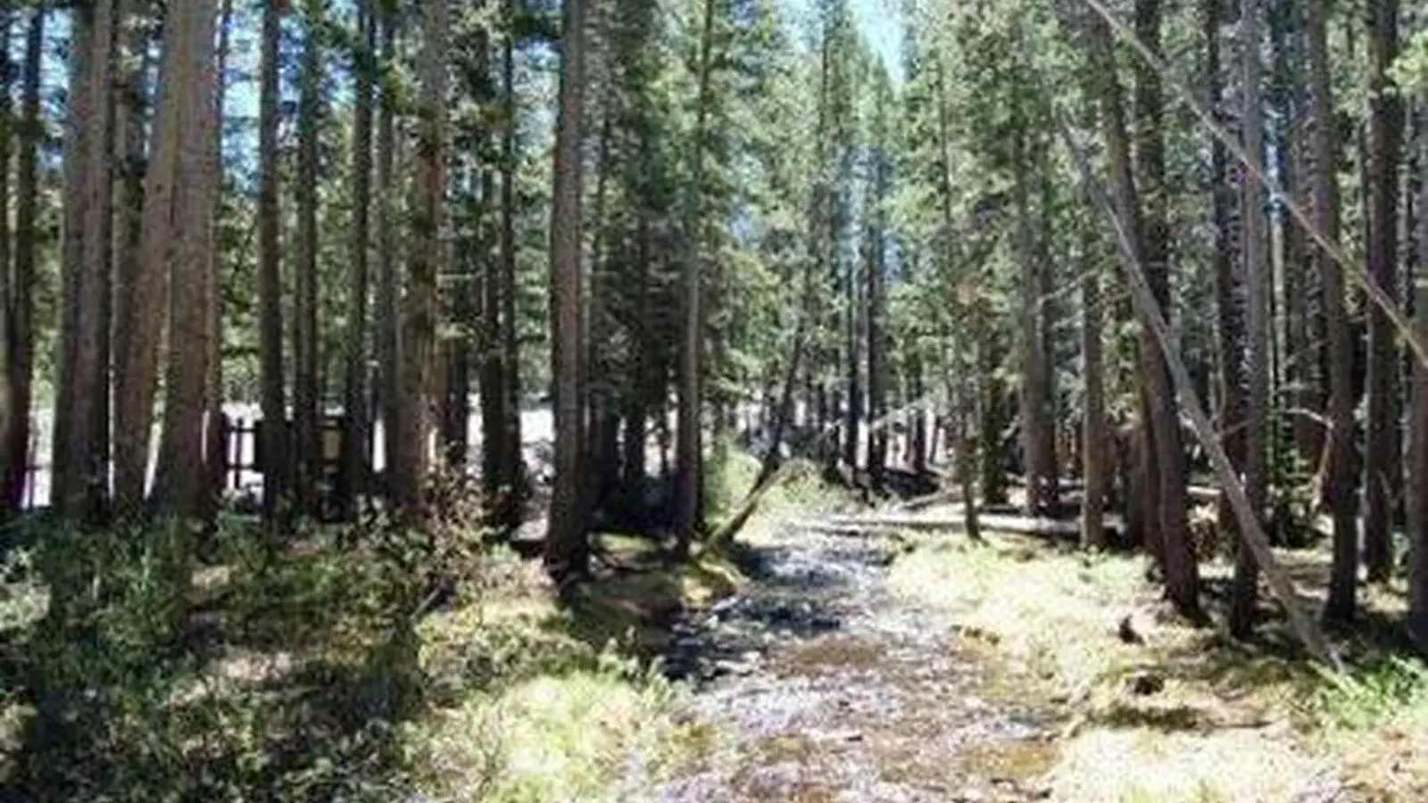 Coldwater Campground