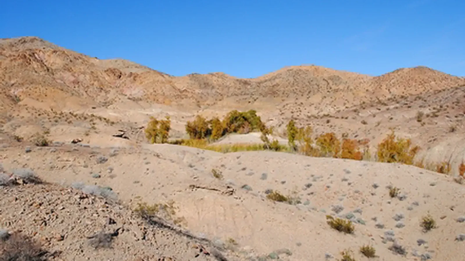 Bonanza Springs Watchable Wildlife Area