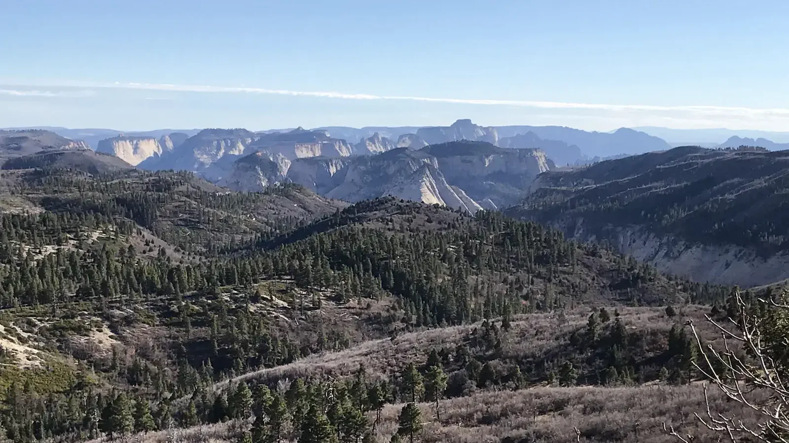 Breathtaking view of rolling forests and Zion's steep canyon walls in the distance.