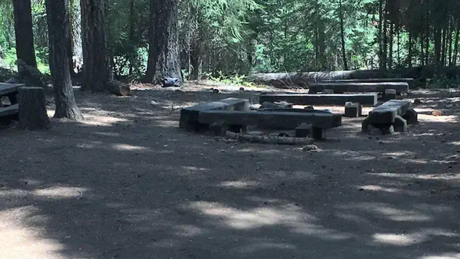 Lush forest provide shade for Middle Meadows Group Campground