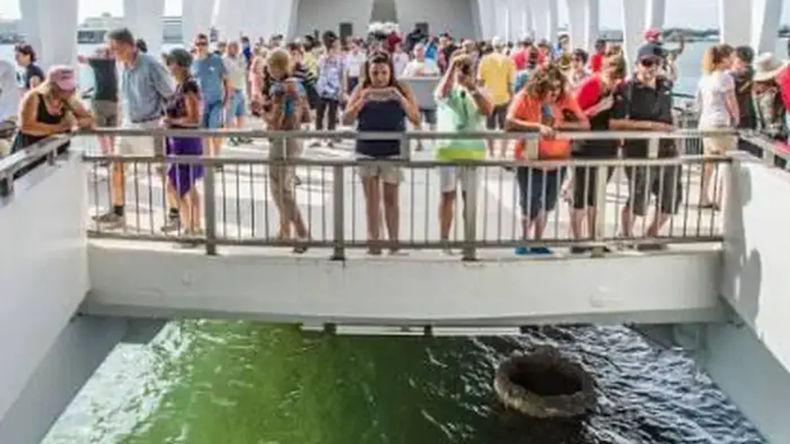 Visitors on the USS Arizona Memorial