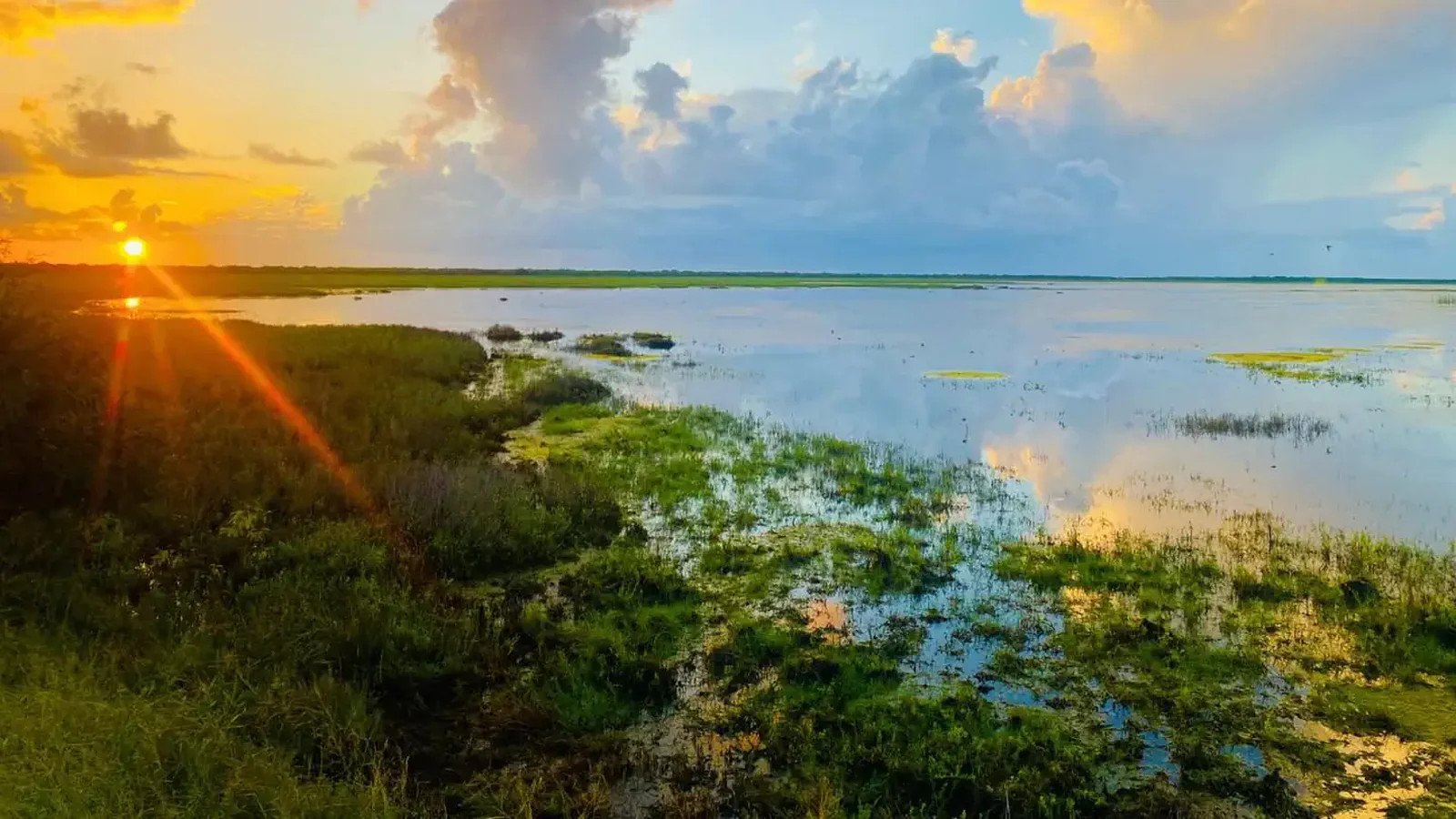 A view across a marsh area with a pool of blue water and warm toned sunset in the background