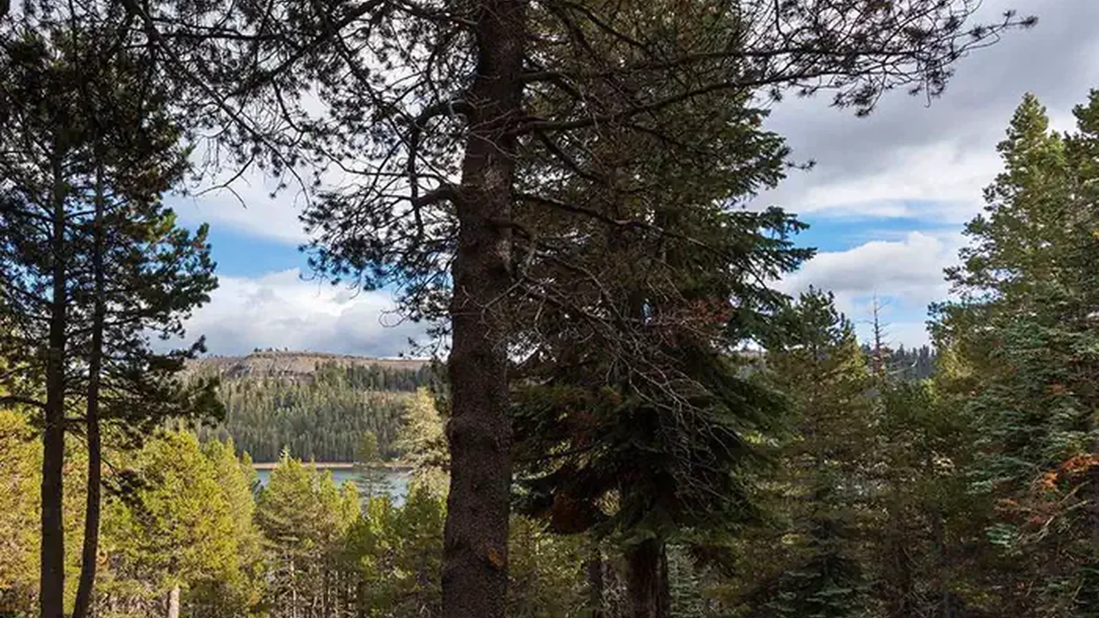 Distant view of Lake Alpine