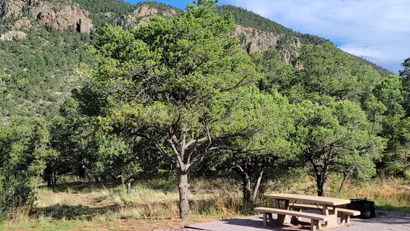 A Campsite