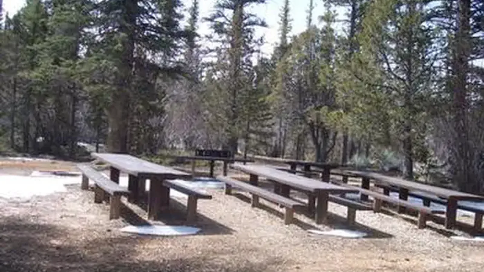 Yellow Pine Group Campsite