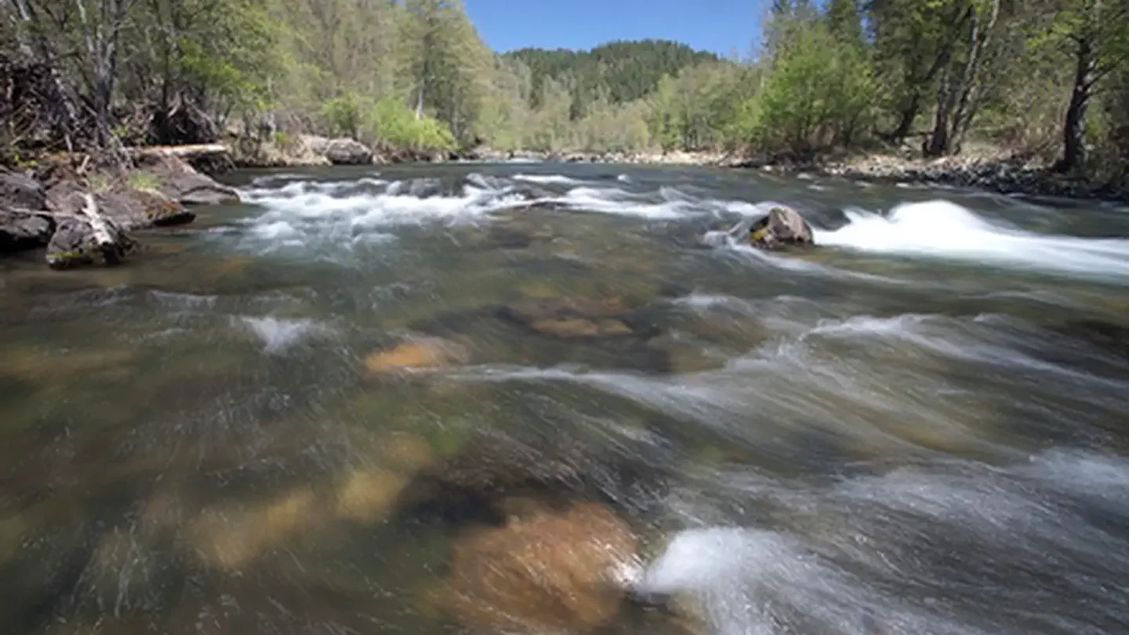 Wild and Scenic Trinity River