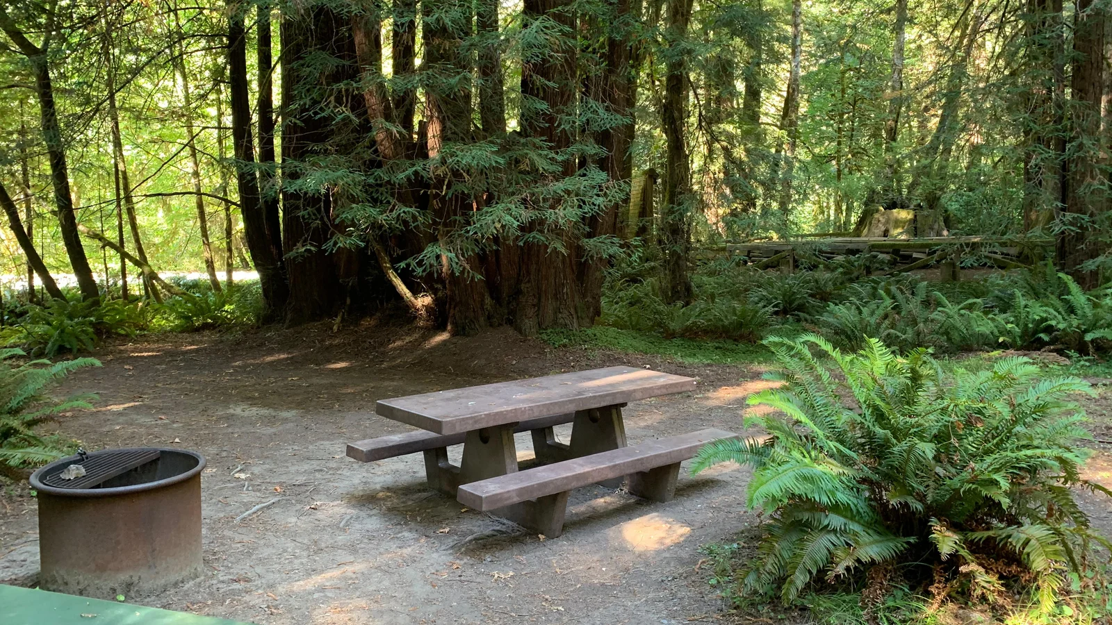Campsite at Mill Creek Campground