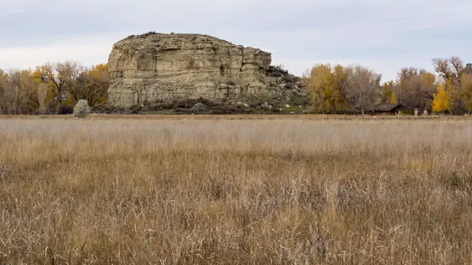Pompeys Pillar