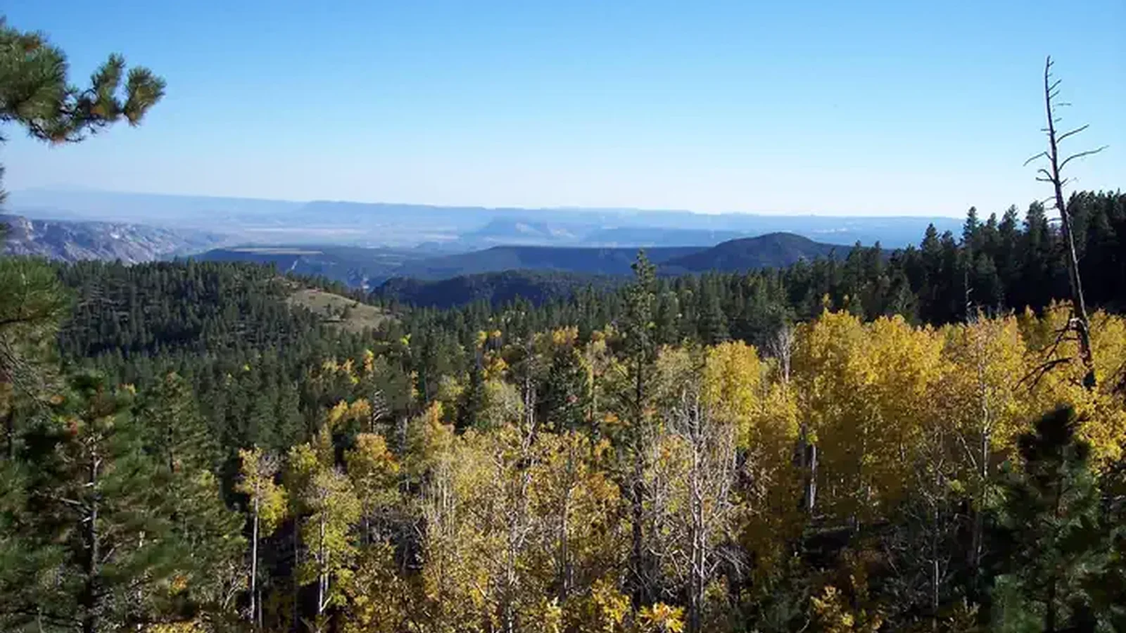 View from Posey Lookout above the campground
