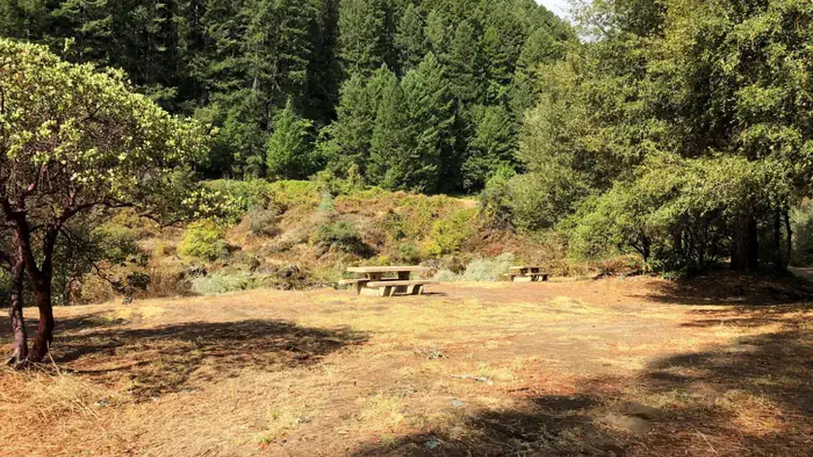 Tent Site area overlooking Trinity River