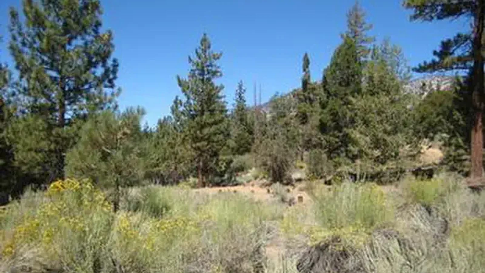 Scenic View from Heart Bar Equestrian Campground