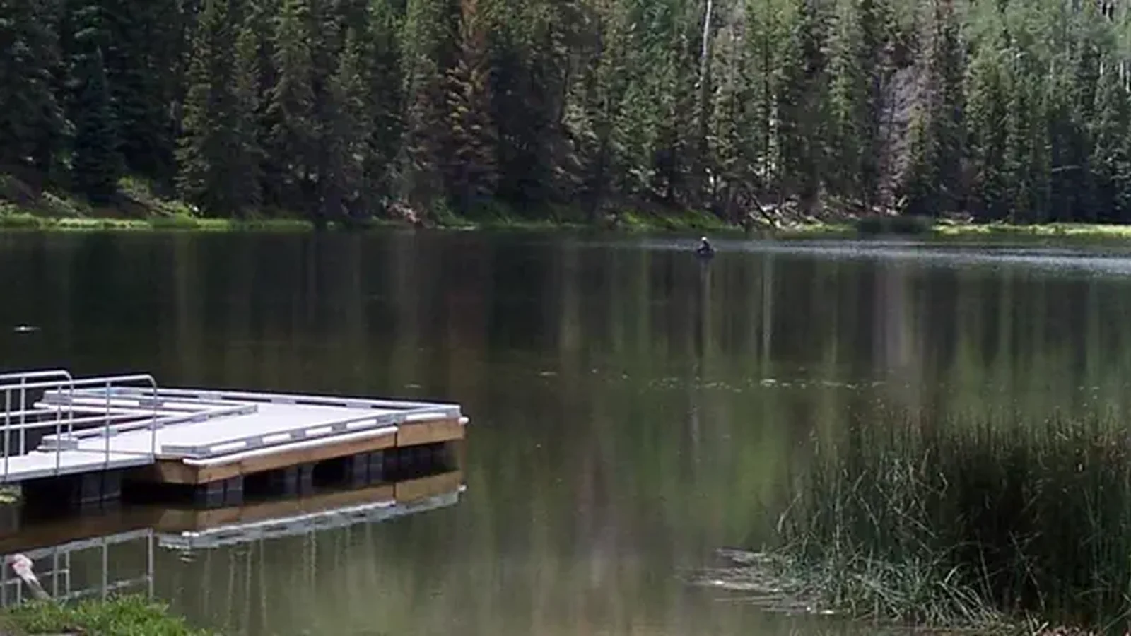 Fishing Dock on Posey Lake
