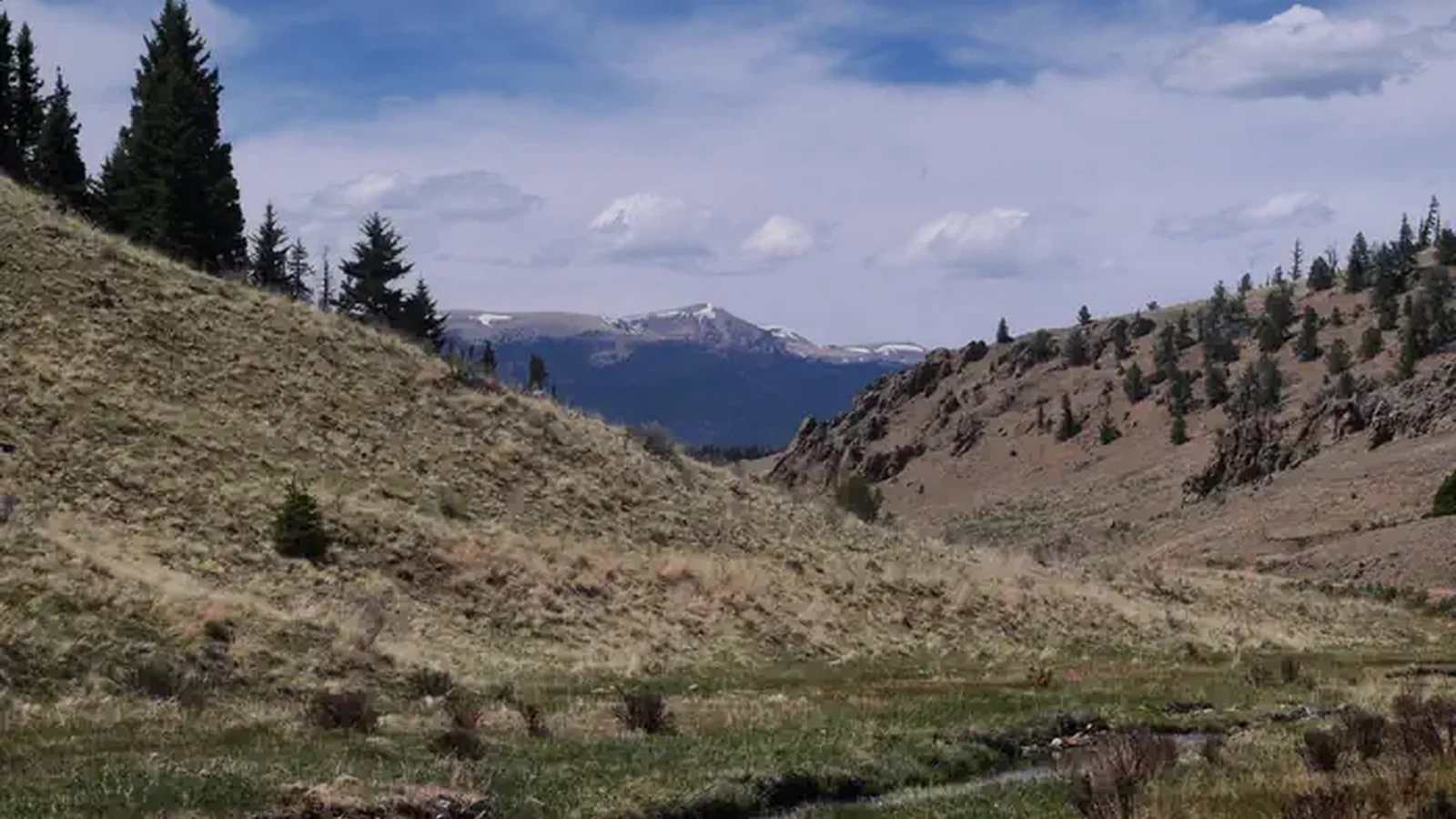 Valle Vidal Unit