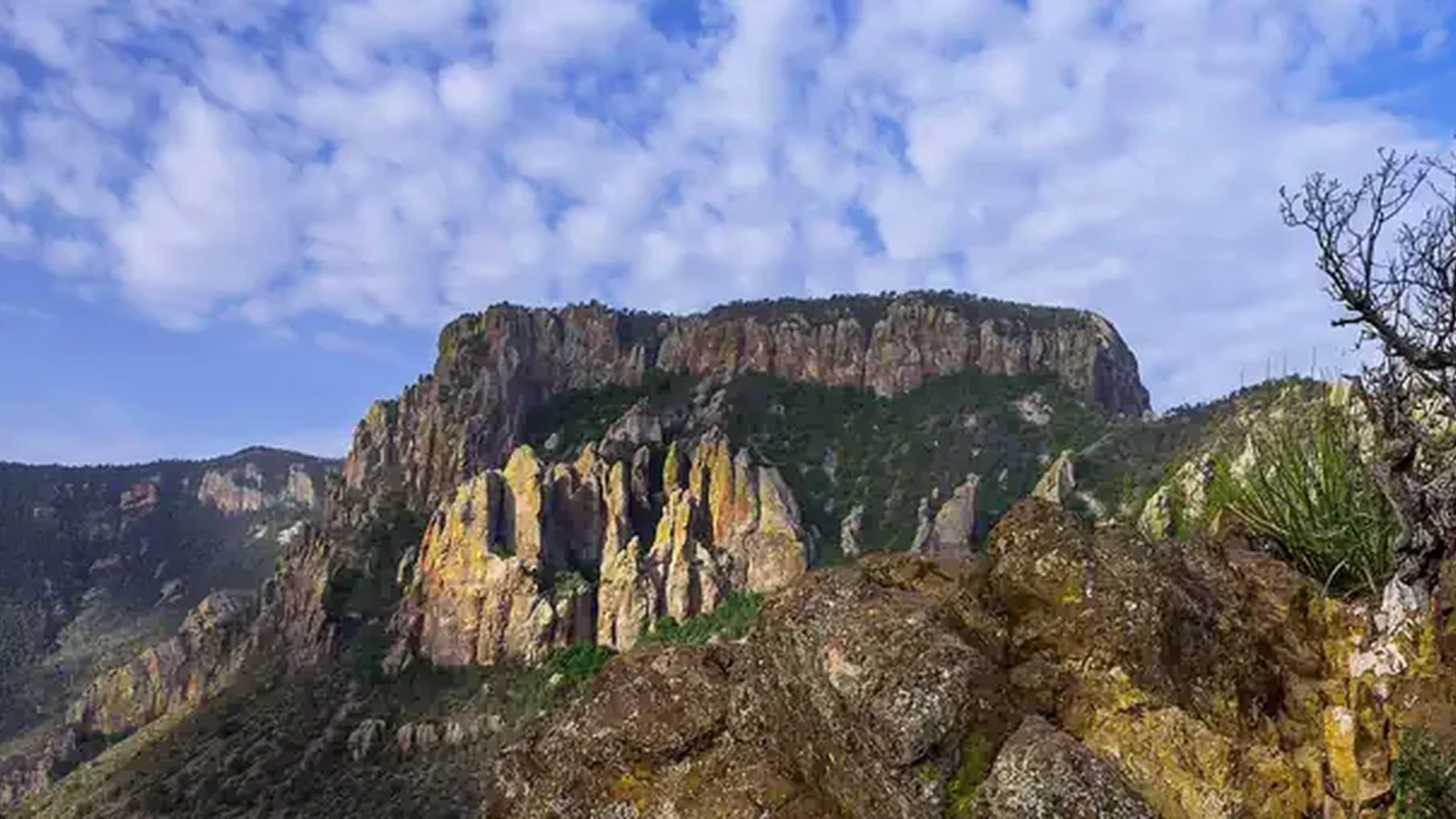 Big Bend National Park