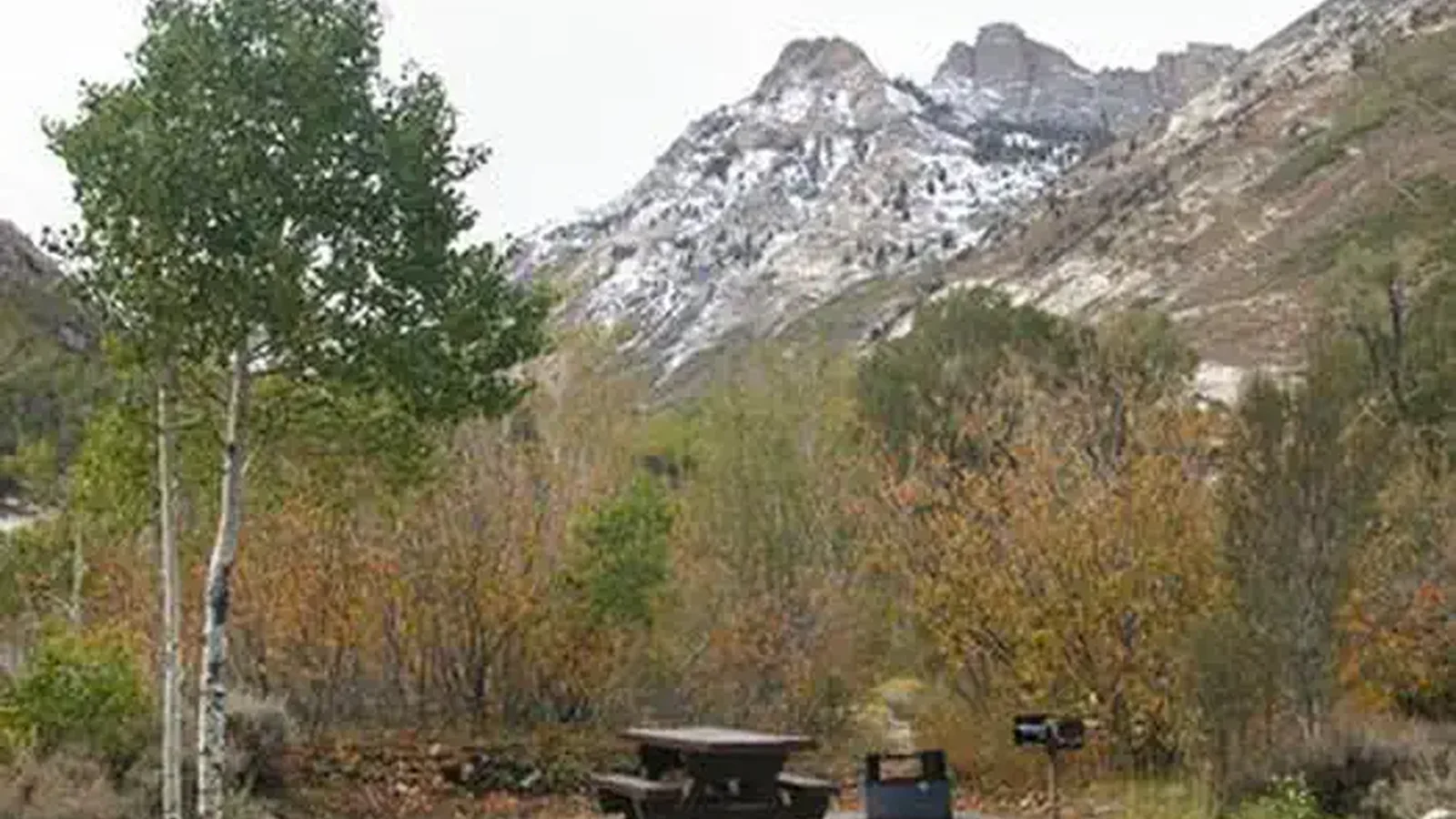 THOMAS CANYON