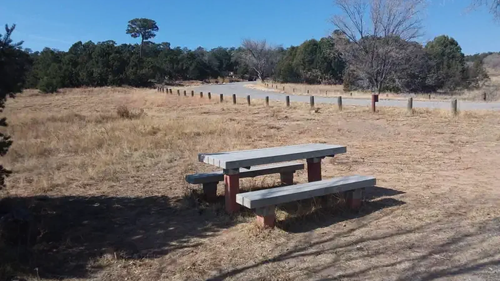 Cedro Peak Campground open field with a picnic table