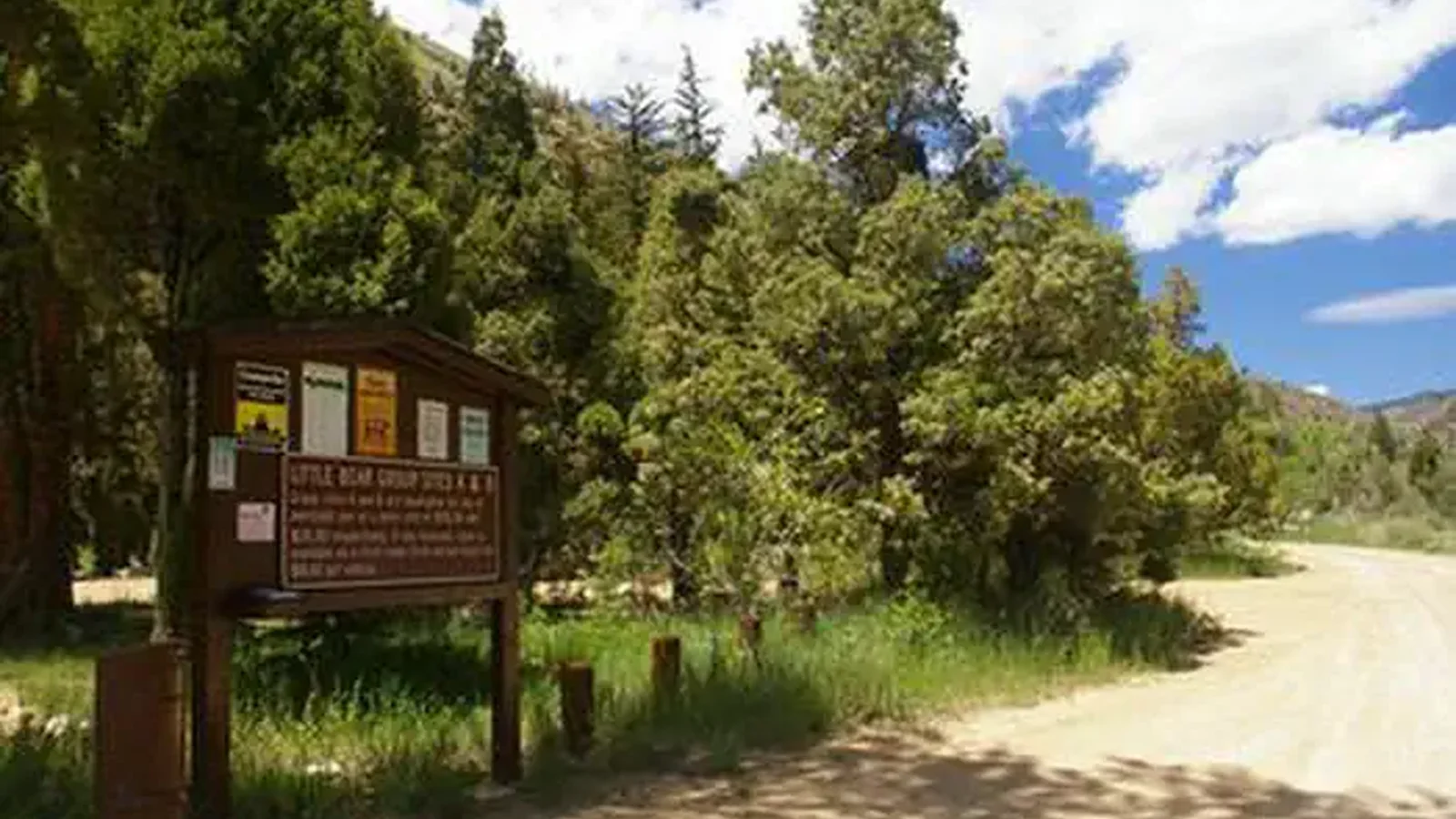 LITTLE BEAR GROUP