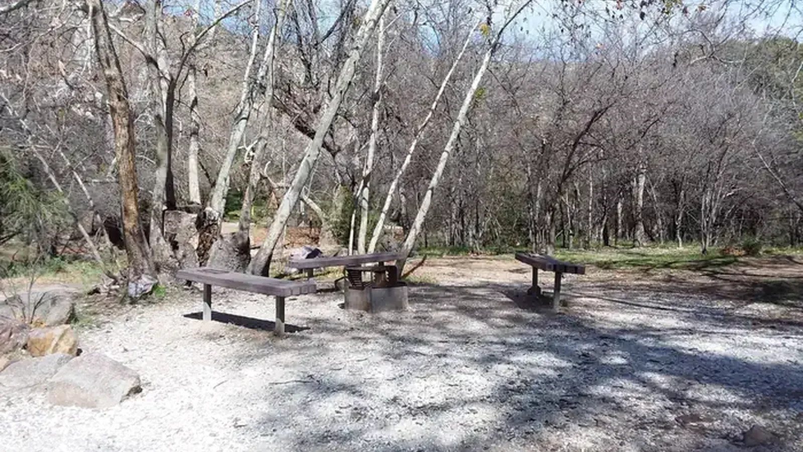 Group area around a fire pit.
