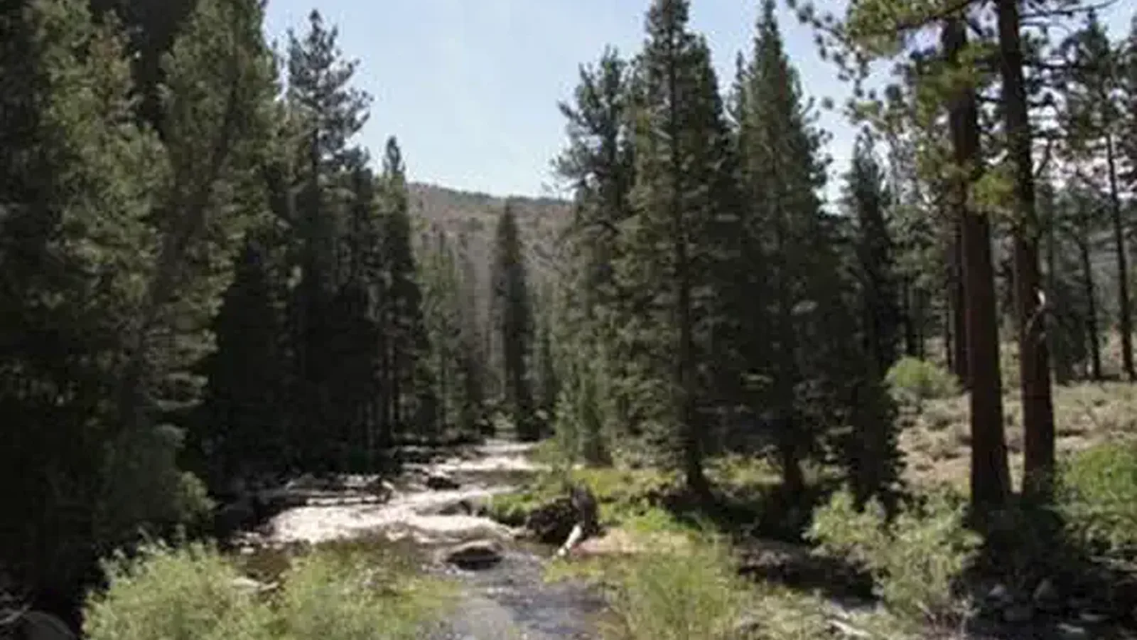 ROBINSON CREEK SOUTH