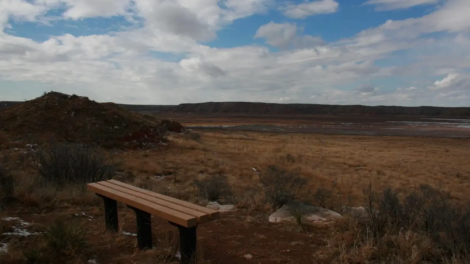 Harbor Bay Trail