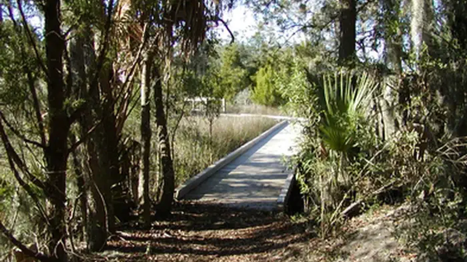 Boardwalk and Marsh