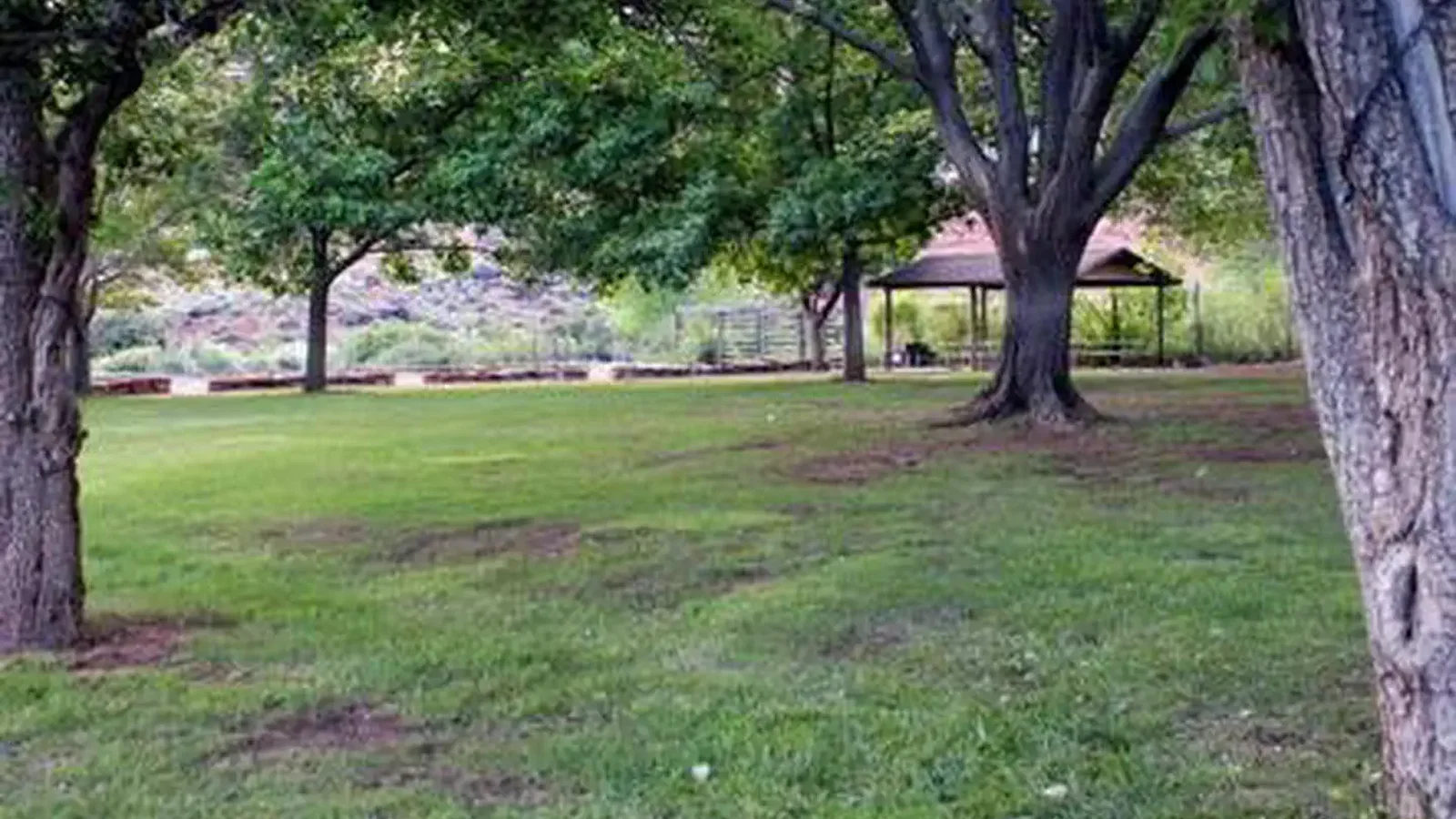 A grassy field with a few trees. A pavilion is in the background.