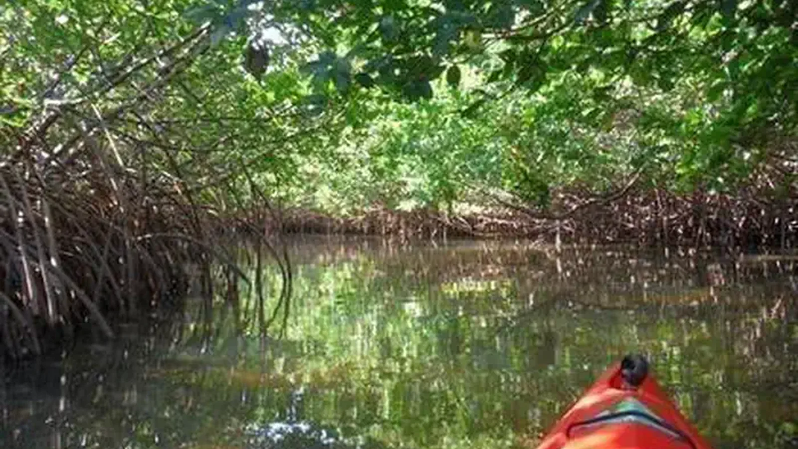 Kayaking at the Jupiter Inlet Lighthouse ONA