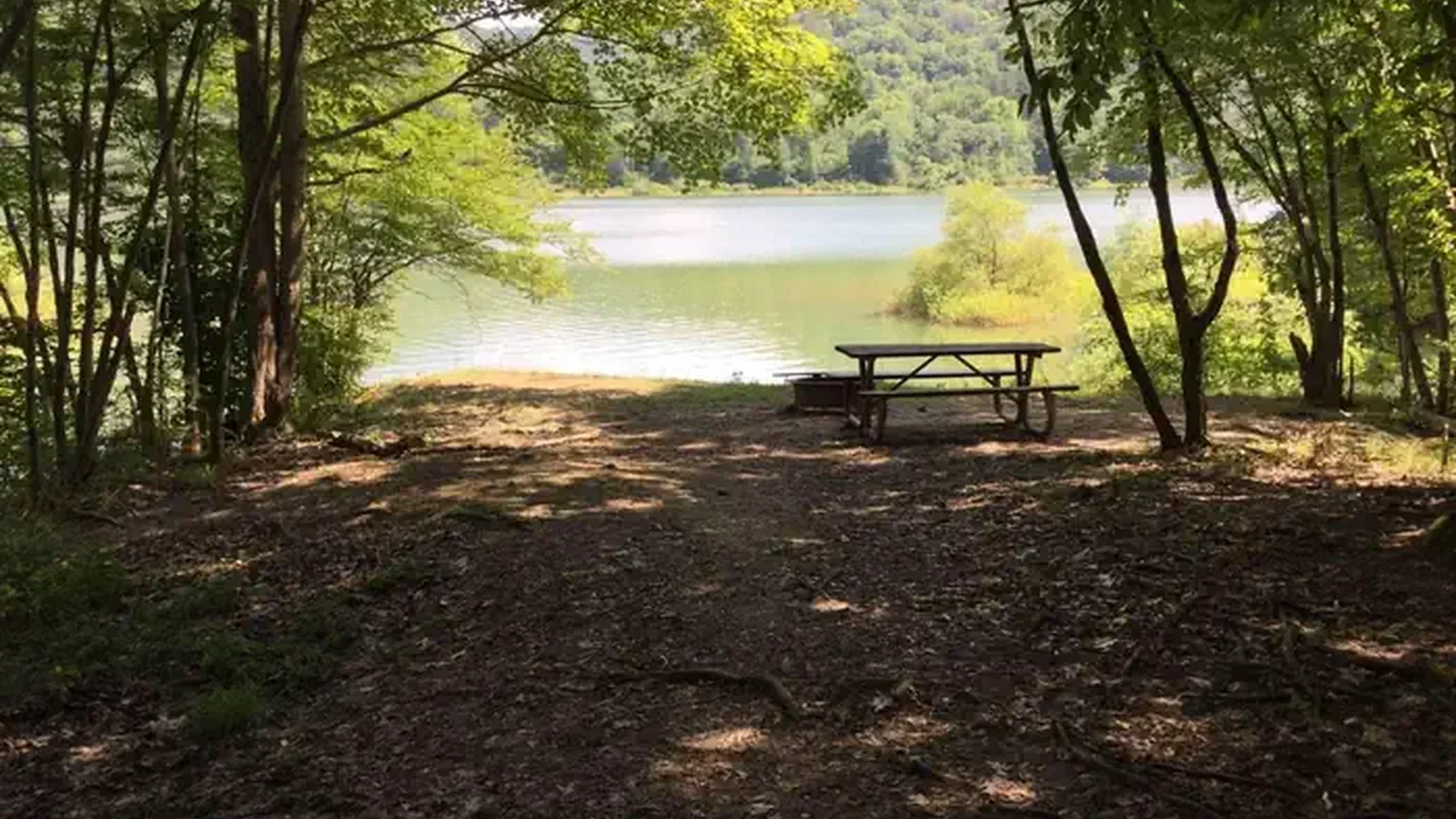 Kiasutha Recreation Area: Site 112