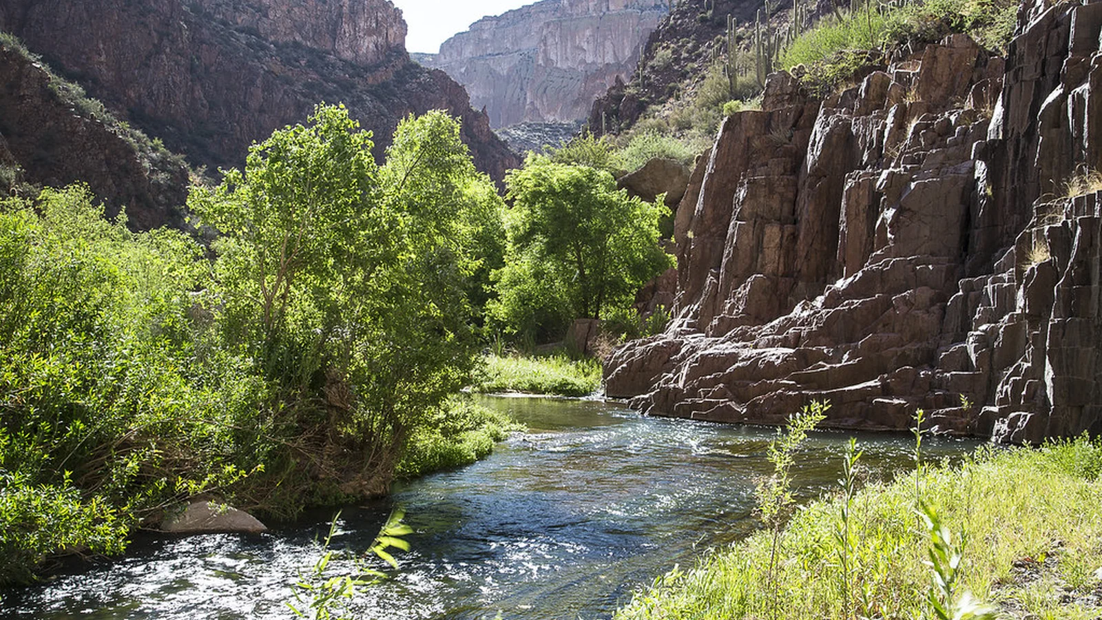 Aravaipa Creek in Aravaipa Canyon Wilderness