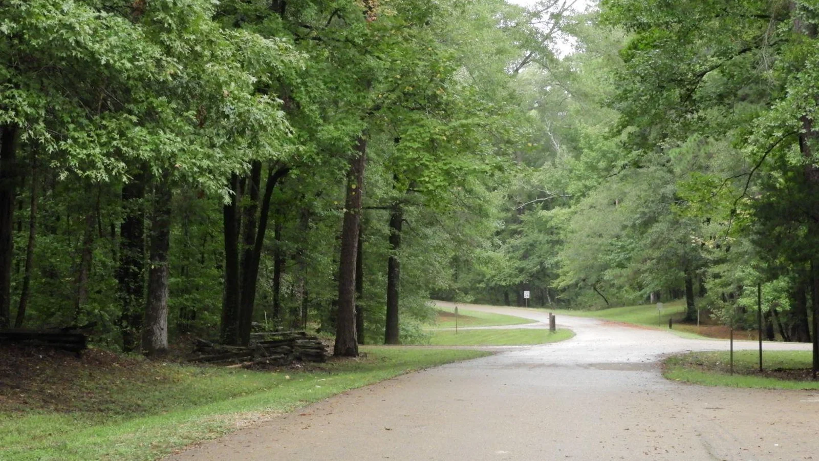 Road into Rocky Springs Campground