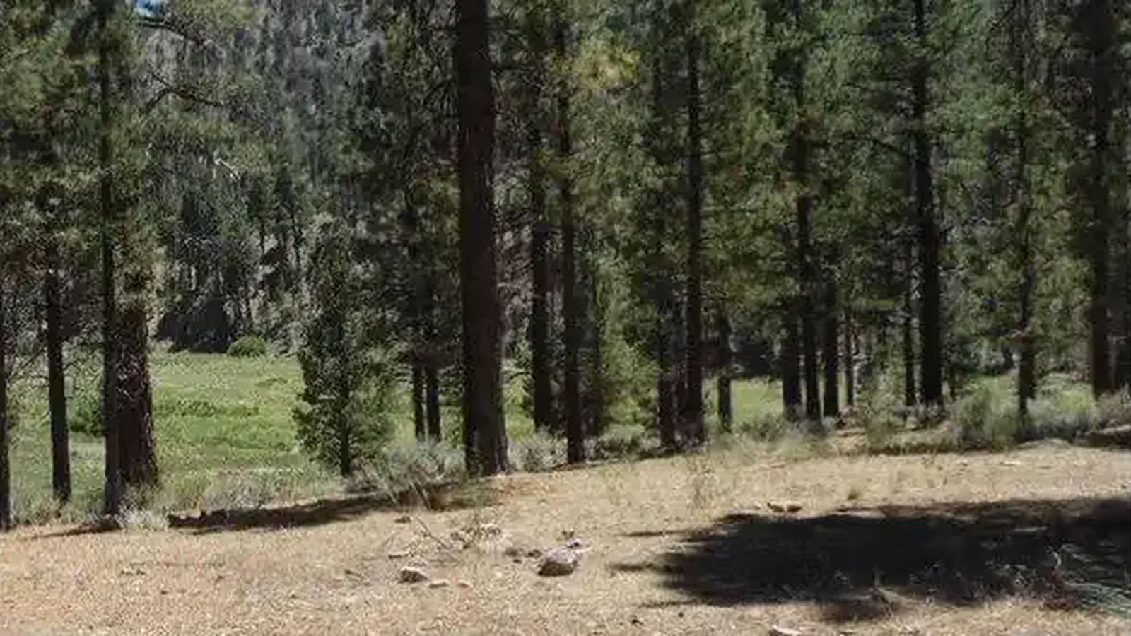 Heart Bar Campground